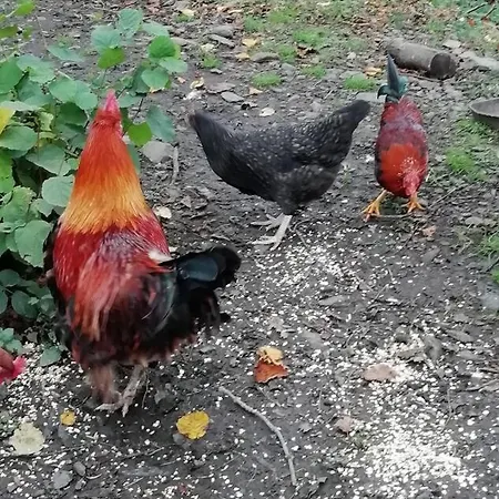 The Hayloft. Entire Barn Conversion Near Keswick Casa vacanze