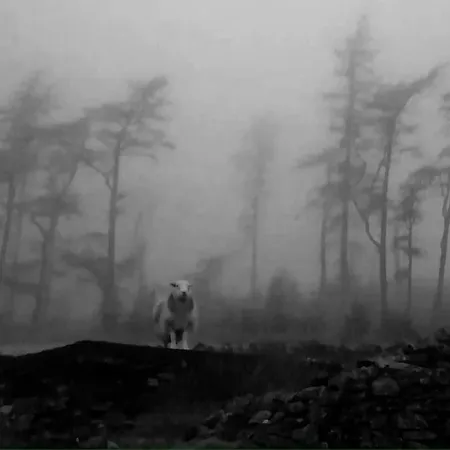 The Hayloft. Entire Barn Conversion Near Keswick Hébergement de vacances