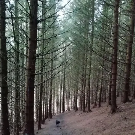 The Hayloft. Entire Barn Conversion Near Keswick Casa vacanze Applethwaite