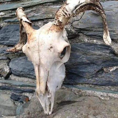 Casa vacanze The Hayloft. Entire Barn Conversion Near Keswick